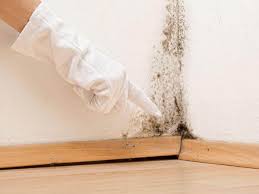 Ellington, MO Mold Remediation Company